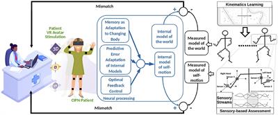 Role of Kinematics Assessment and Multimodal Sensorimotor Training for Motion Deficits in Breast Cancer Chemotherapy-Induced Polyneuropathy: A Perspective on Virtual Reality Avatars